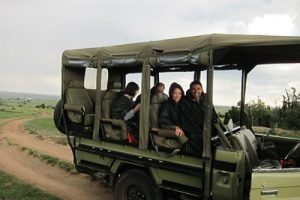 win-safari-vehicle