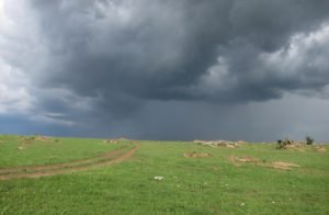 win-serengeti-storm