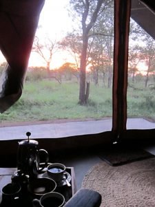 win-serengeti-sunrise
